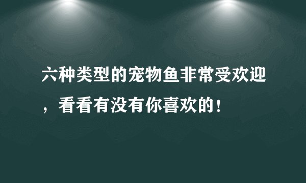 六种类型的宠物鱼非常受欢迎,看看有没有你喜欢的!