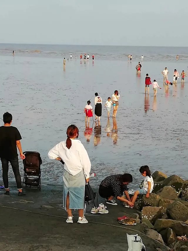 请问上海周边100公里左右自驾游有哪些景点推荐?