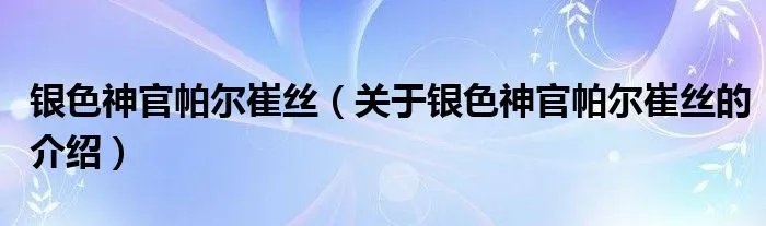 银色神官帕尔崔丝（关于银色神官帕尔崔丝的介绍）