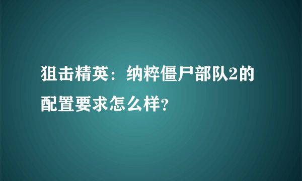 狙击精英:纳粹僵尸部队2的配置要求怎么样?