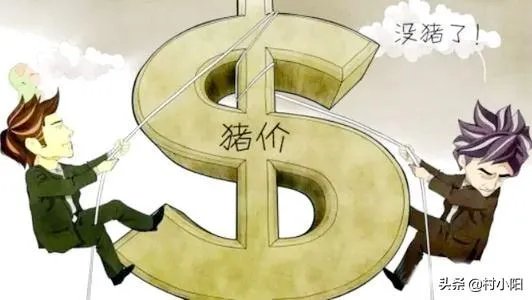 请问现在猪肉价格为啥居高不下,什么时候能降下来?