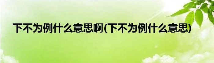下不为例什么意思啊(下不为例什么意思)