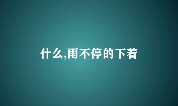 什么,雨不停的下着