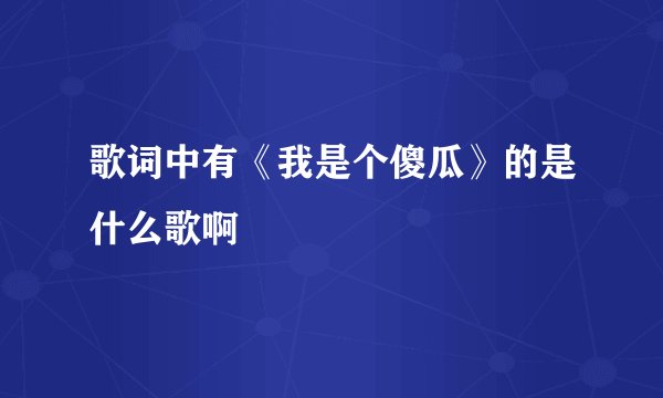 歌词中有《我是个傻瓜》的是什么歌啊