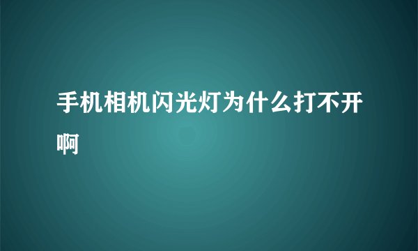 手机相机闪光灯为什么打不开啊