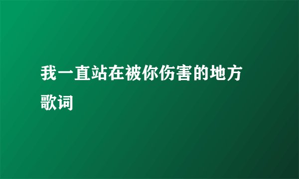 我一直站在被你伤害的地方 歌词