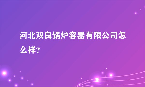 河北双良锅炉容器有限公司怎么样？