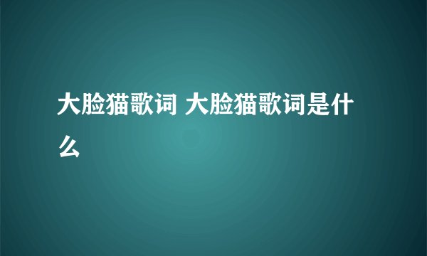 大脸猫歌词 大脸猫歌词是什么