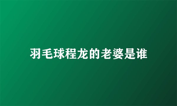羽毛球程龙的老婆是谁