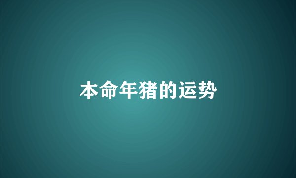 本命年猪的运势