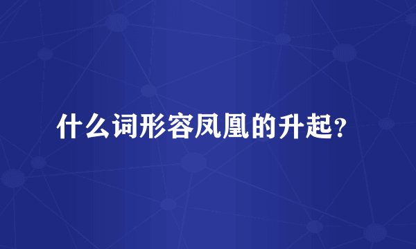 什么词形容凤凰的升起？