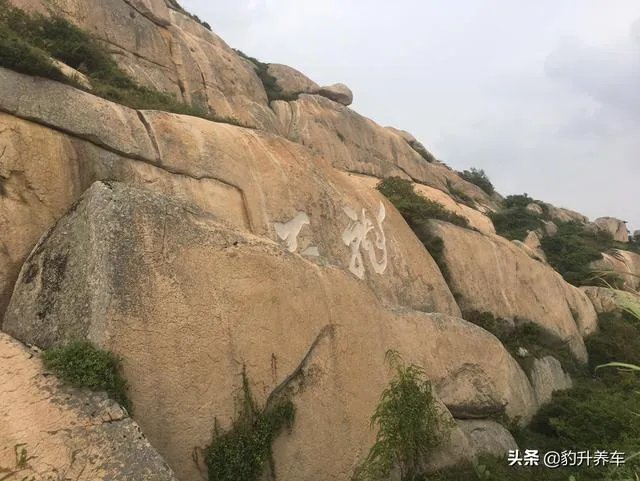 请问上海周边100公里左右自驾游有哪些景点推荐?