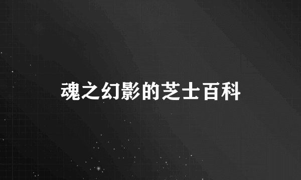 魂之幻影的芝士百科