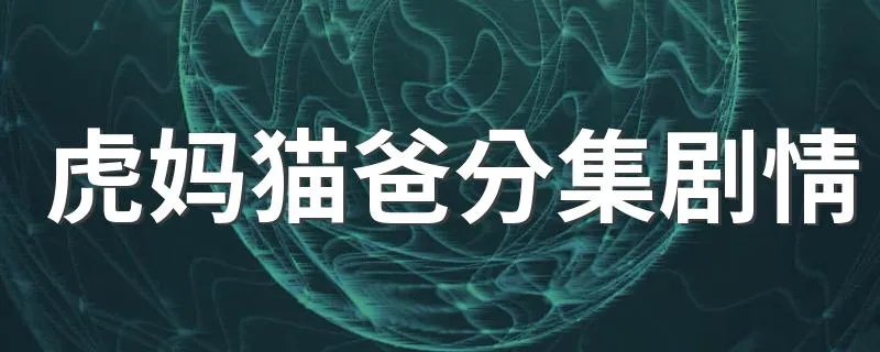 虎妈猫爸分集剧情 虎妈猫爸分集剧情 1-45集