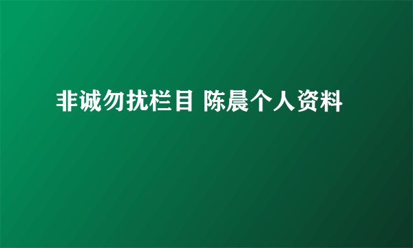 非诚勿扰栏目 陈晨个人资料