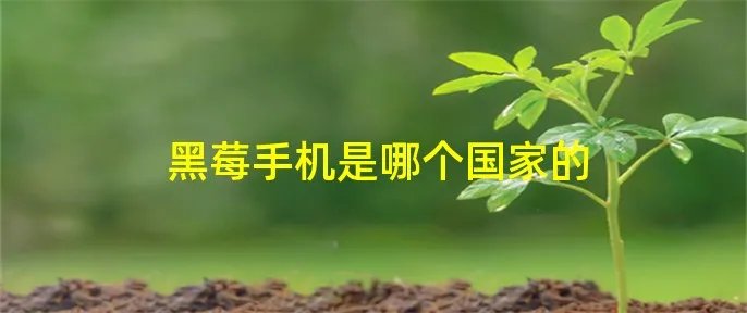 黑莓手机是哪个国家的