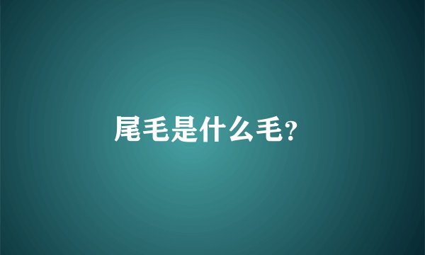 尾毛是什么毛？