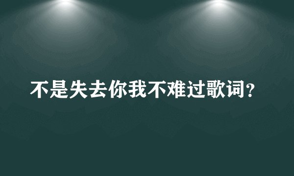 不是失去你我不难过歌词？