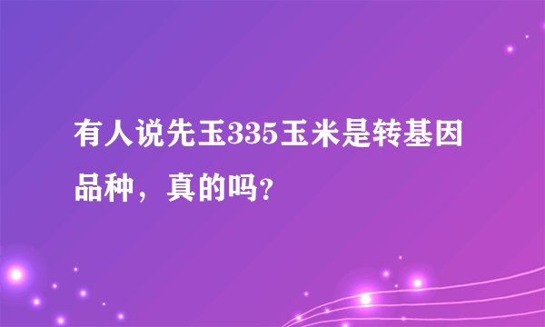 有人说先玉335玉米是转基因品种，真的吗？