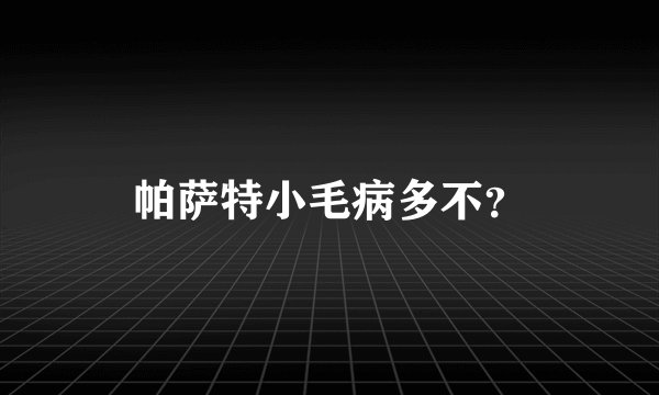 帕萨特小毛病多不？