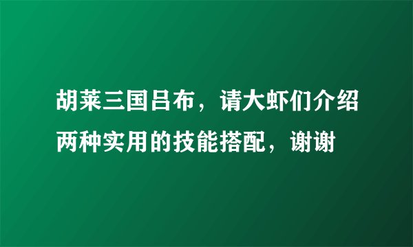 胡莱三国吕布，请大虾们介绍两种实用的技能搭配，谢谢