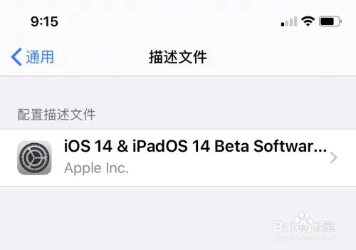 苹果 iOS14 测试版怎么升级?iOS 14 抢先体验