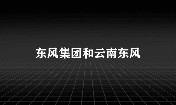 东风集团和云南东风