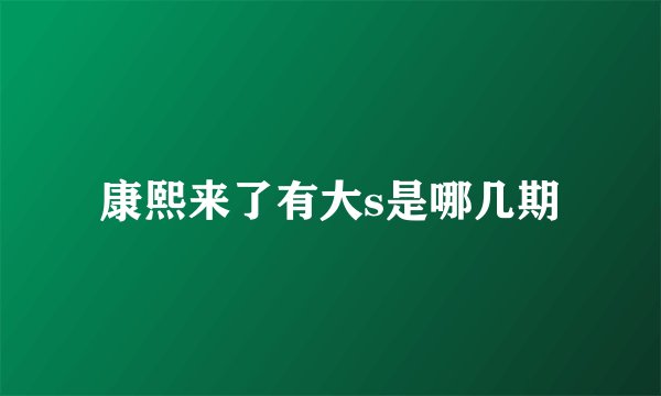 康熙来了有大s是哪几期