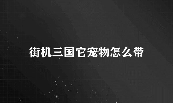 街机三国它宠物怎么带