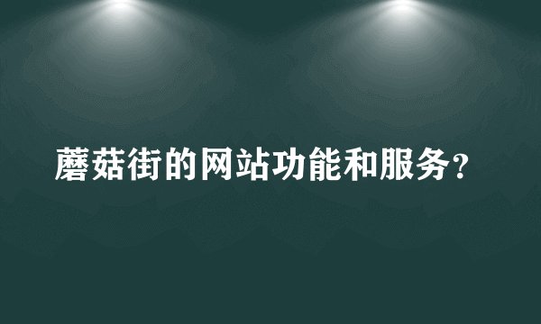 蘑菇街的网站功能和服务？