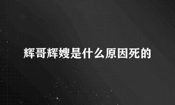 辉哥辉嫂是什么原因死的
