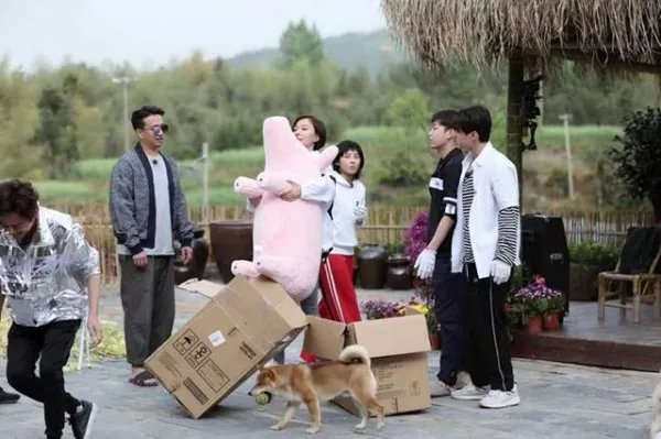 《向往的生活》锅碗瓢盆四条狗,现在过的怎么样了?