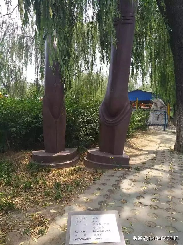 今年清明节还可以扫墓吗?