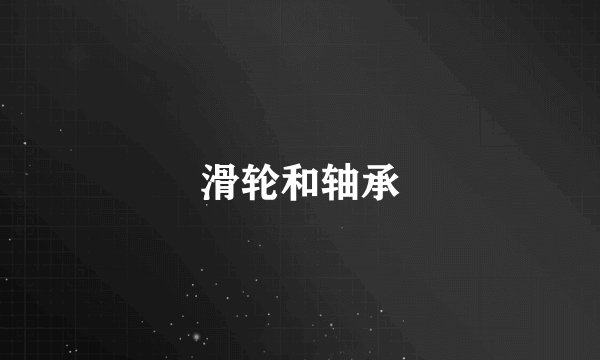 滑轮和轴承