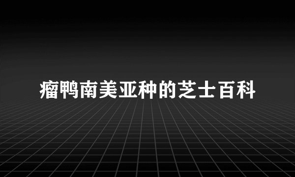 瘤鸭南美亚种的芝士百科