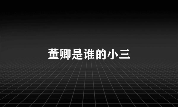 董卿是谁的小三