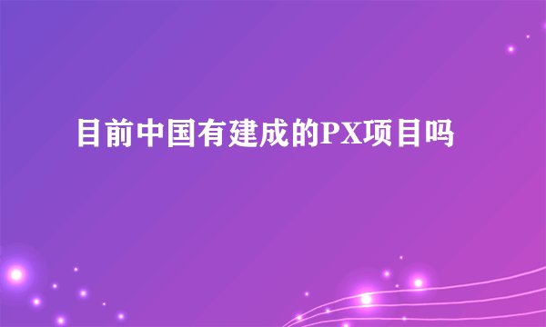 目前中国有建成的PX项目吗