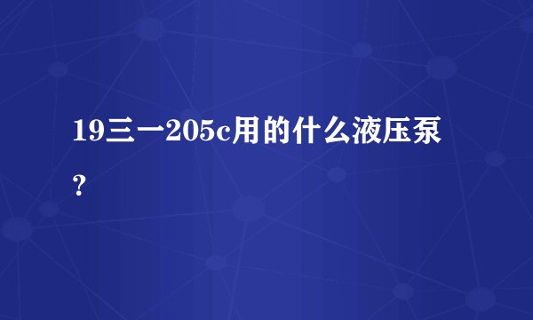 19三一205c用的什么液压泵？