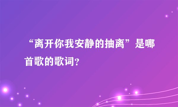 “离开你我安静的抽离”是哪首歌的歌词？