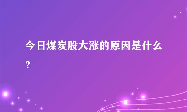 今日煤炭股大涨的原因是什么？