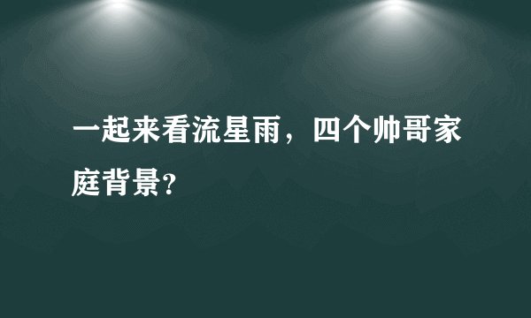 一起来看流星雨，四个帅哥家庭背景？