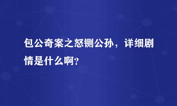 包公奇案之怒铡公孙，详细剧情是什么啊？