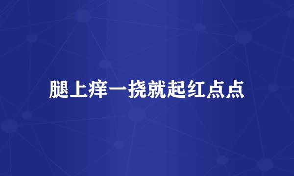 腿上痒一挠就起红点点
