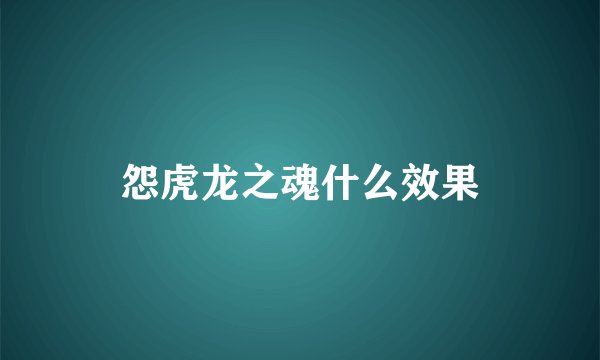 怨虎龙之魂什么效果