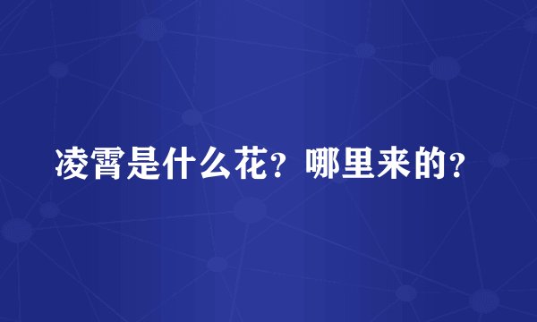 凌霄是什么花？哪里来的？