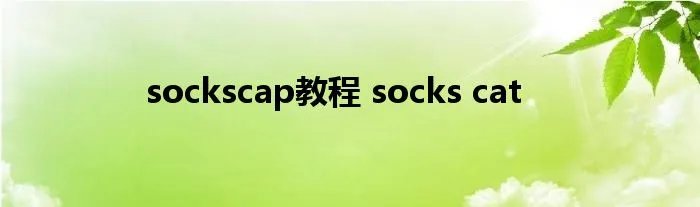 sockscap教程 socks cat