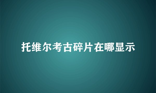 托维尔考古碎片在哪显示