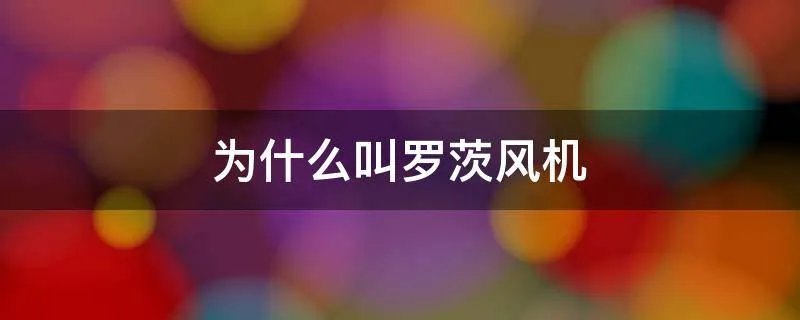 为什么叫罗茨风机