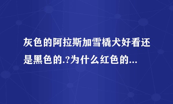灰色的阿拉斯加雪橇犬好看还是黑色的.?为什么红色的阿拉斯加要上万.?