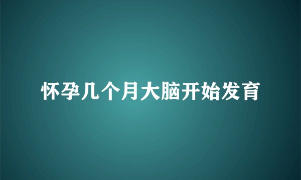 怀孕几个月大脑开始发育